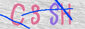 この文字を入力してください