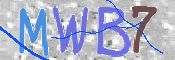 この文字を入力してください
