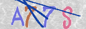 この文字を入力してください