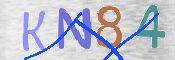 この文字を入力してください