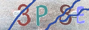 この文字を入力してください
