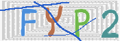 この文字を入力してください