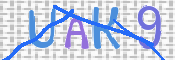 この文字を入力してください