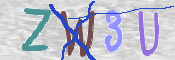 この文字を入力してください
