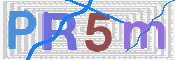 この文字を入力してください