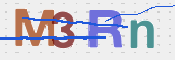 この文字を入力してください