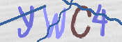 この文字を入力してください