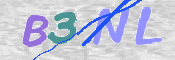 この文字を入力してください