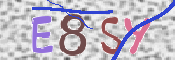 この文字を入力してください