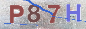 この文字を入力してください