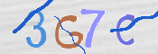 この文字を入力してください