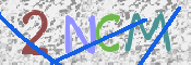 この文字を入力してください