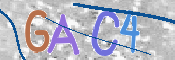 この文字を入力してください