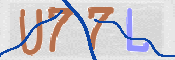 この文字を入力してください