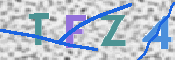 この文字を入力してください