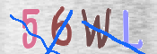 この文字を入力してください