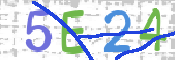 この文字を入力してください