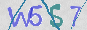 この文字を入力してください