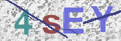 この文字を入力してください
