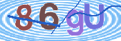 この文字を入力してください