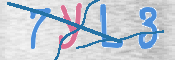 この文字を入力してください