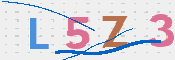 この文字を入力してください
