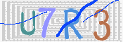 この文字を入力してください