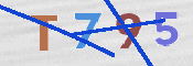 この文字を入力してください