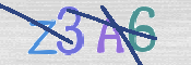 この文字を入力してください
