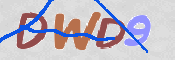この文字を入力してください