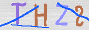 この文字を入力してください