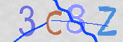 この文字を入力してください