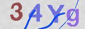 この文字を入力してください