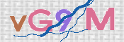 この文字を入力してください