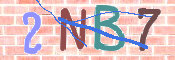 この文字を入力してください