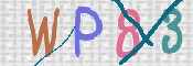 この文字を入力してください