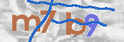 この文字を入力してください