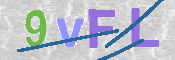 この文字を入力してください