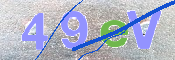 この文字を入力してください