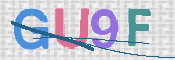この文字を入力してください