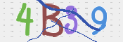 この文字を入力してください