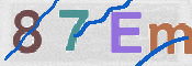 この文字を入力してください