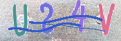 この文字を入力してください