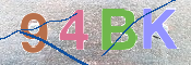 この文字を入力してください