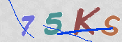 この文字を入力してください