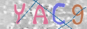 この文字を入力してください