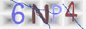 この文字を入力してください