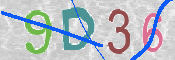この文字を入力してください