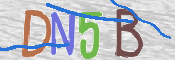 この文字を入力してください