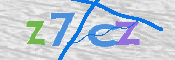 この文字を入力してください